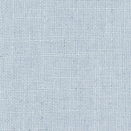 Autumn Breeze Chalky Blue by Carole Designer Fabric On POint 36% Polyester, 26% Cotton, 22% Viscose, 16% Linen CHINA None 56" - Swanky Fabrics -