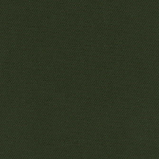 Kirkland Deep Green by Carole Designer Fabric Celadon 100% Cotton Brazil Passes 30,000 Double Rubs Wyzenbeek Horizontal: None and Vertical: None 64" - Swanky Fabrics -