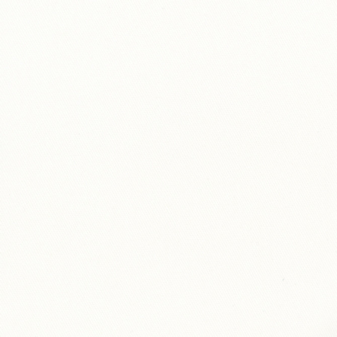 More Time White by Carole Designer Fabric Opal 100% Cotton China None 55.5" - Swanky Fabrics -