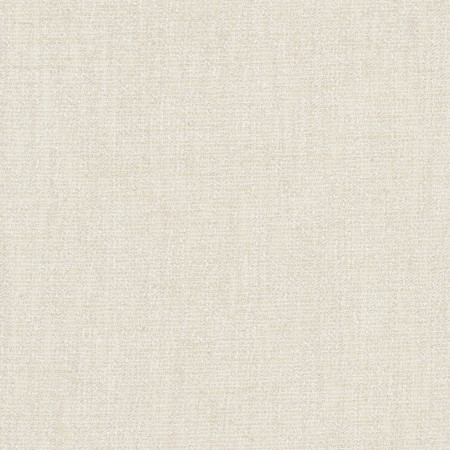 Overhang Vintage Linen by Carole Designer Fabric Excursion 88% Polyester, 12% Cotton India None 54" - Swanky Fabrics -