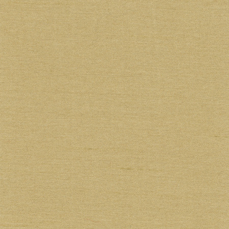 Northwind Doe by Carole Designer Fabric New Northwind IV 100% Polyester India None 54" - Swanky Fabrics -