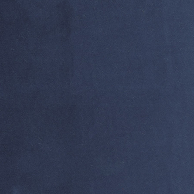 Plush Touch Midnight by Carole Designer Fabric Touch Of Luxury 100% Polyester Knit Backing China 235,000 Wyzenbeek Double Rubs Horizontal: None and Vertical: None 55" - Swanky Fabrics -