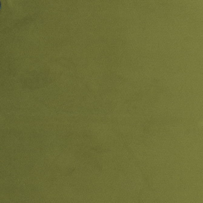 Plush Touch Avocado by Carole Designer Fabric Touch Of Luxury 100% Polyester Knit Backing China 235,000 Wyzenbeek Double Rubs </p><p>Repeat: None 55" - Swanky Fabrics -