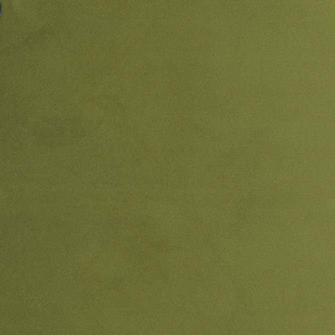 <p>Plush Touch Avocado by Carole Designer Fabric</p><p><strong>Required Minimum Quantity Purchase: 2 yards</strong></p><p>Book: Touch Of Luxury,Warm Embrace</p><p>Content: 100% Polyester Knit Backing</p><p>Origin: </p><p>Performance: 235,000 Wyzenbeek Double Rubs</p><p>Repeat: None</p><p>Width: 55"</p>