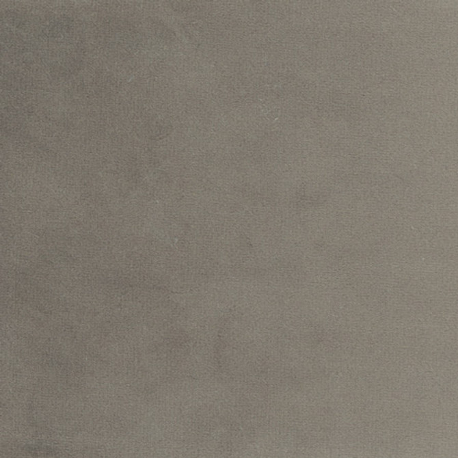 Plush Touch Charcoal by Carole Designer Fabric Touch Of Luxury 100% Polyester Knit Backing China 235,000 Wyzenbeek Double Rubs </p><p>Repeat: None 55" - Swanky Fabrics -