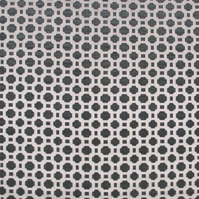 Prized Possession Charcoal by Carole Designer Fabric Winner'S Circle 60% Polyester, 40% Cotton India N/A Horizontal: 3 and Vertical: 2875 54 - Swanky Fabrics -