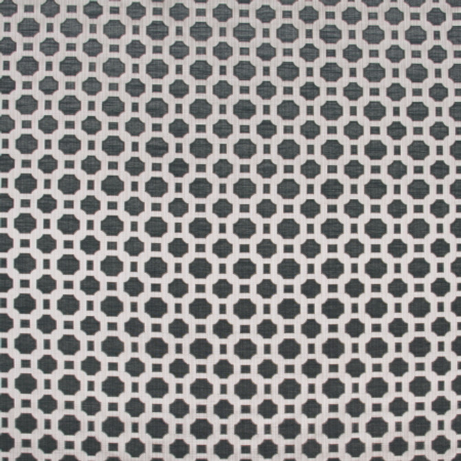 Prized Possession Charcoal by Carole Designer Fabric WINNER'S CIRCLE 60% Polyester, 40% Cotton India N/A Horizontal: 3" and Vertical: 2 7/8" V 54" - Swanky Fabrics -
