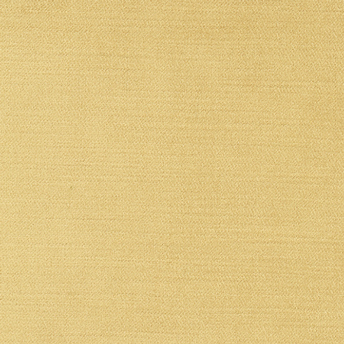 <p>Regal Touch Camel by Carole Designer Fabric</p><p><strong>Required Minimum Quantity Purchase: 2 yards</strong></p><p>Book: Touch Of Luxury,Warm Embrace</p><p>Content: 100% Polyester</p><p>Origin: </p><p>Performance: 15,000 Wyzenbeek Double Rubs</p><p>Repeat: None</p><p>Width: 55"</p>