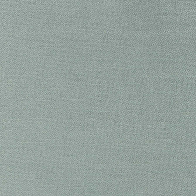 Regal Touch Lichen by Carole Designer Fabric Touch Of Luxury 100% Polyester Turkey 15,000 Wyzenbeek Double Rubs None 55" - Swanky Fabrics -