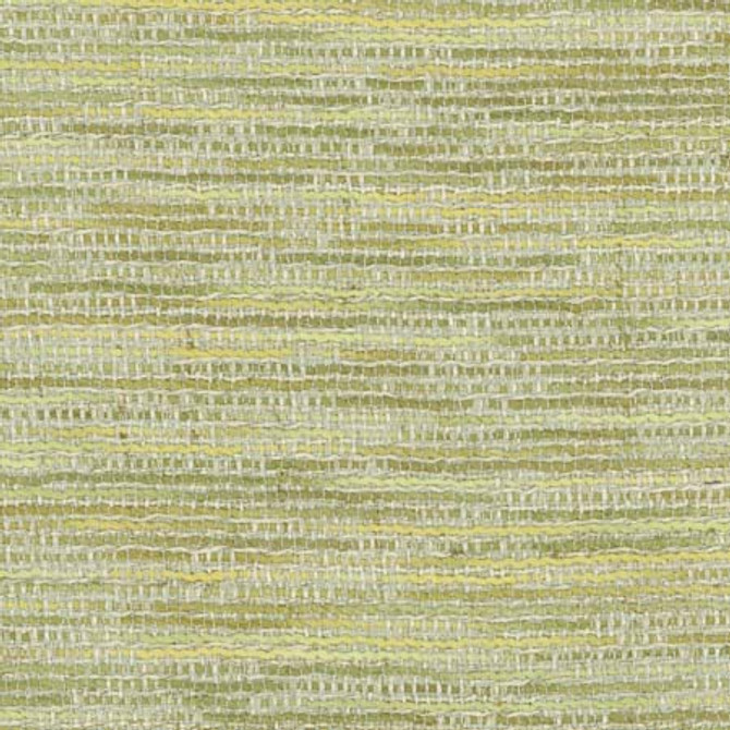 Sound Mind Grassland by Carole Designer Fabric Wintermint 100% Polyester India 100,000 Wyzenbeek Double Rubs None 54" - Swanky Fabrics -