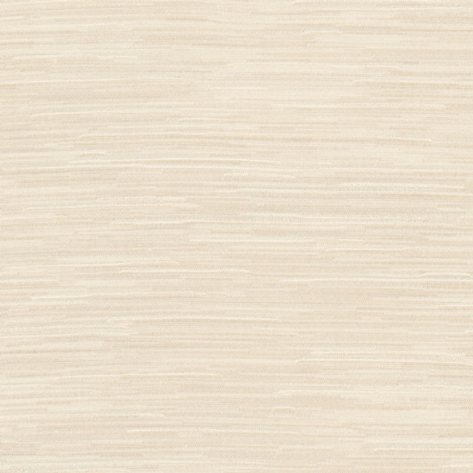 Suntan Sandstone by Carole Designer Fabric Excursion 95% Polyester, 5% Cotton India 8,000 Wyzenbeek Double Rubs </p><p>Repeat: None 56.5" - Swanky Fabrics -