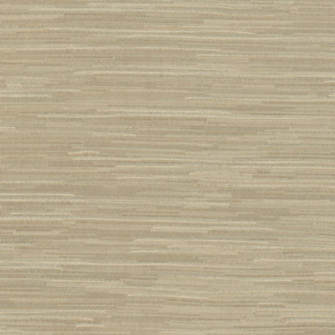 Suntan Putty by Carole Designer Fabric Excursion 95% Polyester, 5% Cotton India 8,000 Wyzenbeek Double Rubs None 56.5" - Swanky Fabrics -