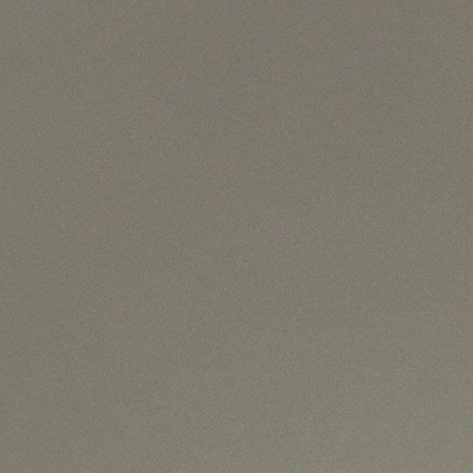 Parker Fossil by Nassimi Designer Fabric See sample 100% Polyurethane  100000 Horizontal: Not Applicable and Vertical: Not Applicable 54"  - Swanky Fabrics -