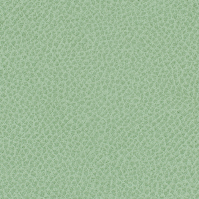 Steinbeck Aloe by Nassimi Designer Fabric See sample 95% Polyurethane (Polycarbonate)5% Silicone  300000 Horizontal: Not Applicable and Vertical: Not Applicable 54"  - Swanky Fabrics -