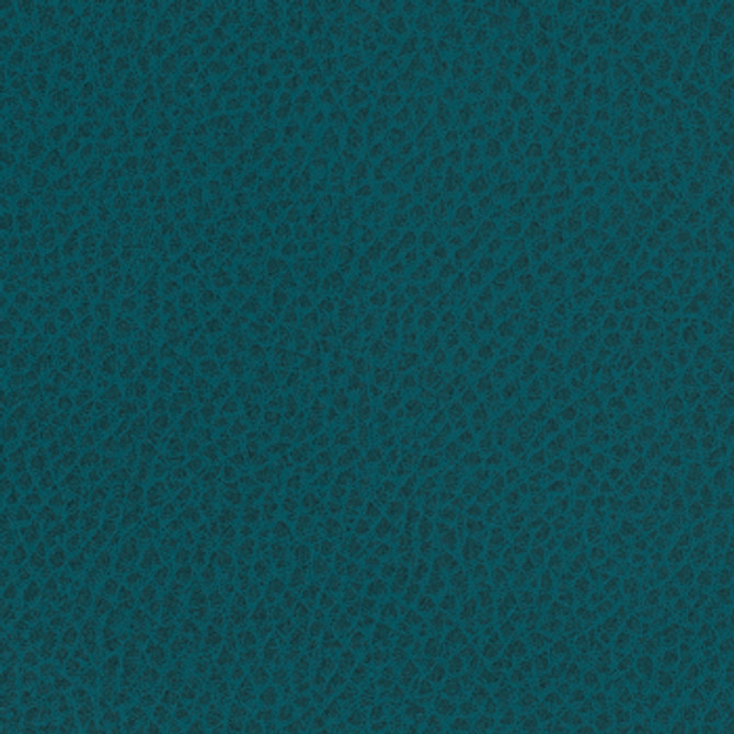 Steinbeck Galapagos by Nassimi Designer Fabric See sample 95% Polyurethane (Polycarbonate)5% Silicone  300000 Horizontal: Not Applicable and Vertical: Not Applicable 54"  - Swanky Fabrics -