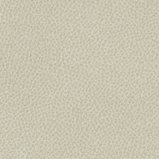 Steinbeck Sediment by Nassimi Designer Fabric See sample 95% Polyurethane (Polycarbonate)5% Silicone  300000 Horizontal: Not Applicable and Vertical: Not Applicable 54"  - Swanky Fabrics -