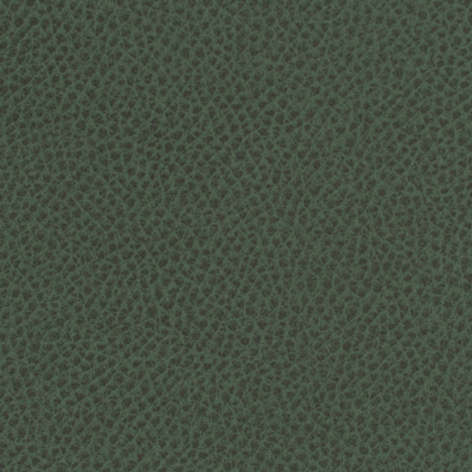 Steinbeck Sherwood by Nassimi Designer Fabric See sample 95% Polyurethane (Polycarbonate)5% Silicone  300000 Horizontal: Not Applicable and Vertical: Not Applicable 54"  - Swanky Fabrics -