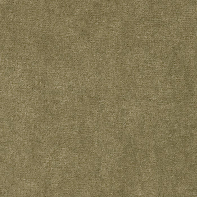 Suede Lichen by Crypton Designer Fabric See sample 100% Polyester  50000 Horizontal: Not Applicable and Vertical: Not Applicable 54"  - Swanky Fabrics -