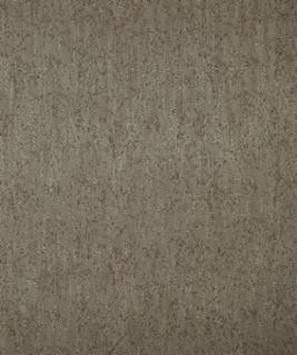 Liaison Cabana M8387 by Barrow Designer Fabric 10C02 67% RAYON (S) 33% POLYESTER (F) CHINA 12,000 DOUBLE RUBS </p><p>Repeat: Horizontal: N/A and Vertical: N/A 54" Minimum - Swanky Fabrics -