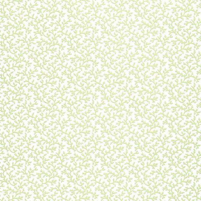 Coral Vine Aloe 5004412 by Schumacher Designer Wallpaper Simply Charming 4.5" - Swanky Fabrics -