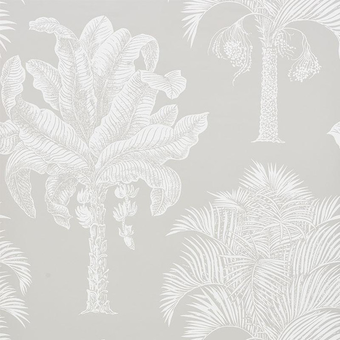 Grand Palms Dove 5009622 by Schumacher Designer Wallpaper New Traditional 27.0" - Swanky Fabrics -