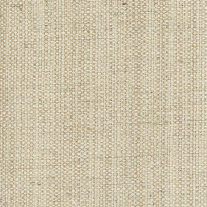 Truslow Bone by Carole Designer Fabric Ambassadors 64% Poly, 18% Cotton, 9% Rayon, 9% Linen India NONE 54" - Swanky Fabrics -