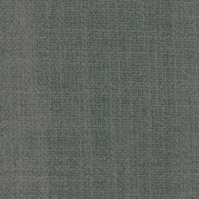 Prophet Graphite by Carole Designer Fabric Northridge,Prominence 79% COTTON, 21% POLYESTER INDIA Passes 49,000 Double Rubs Wyzenbeek NONE 55" - Swanky Fabrics -