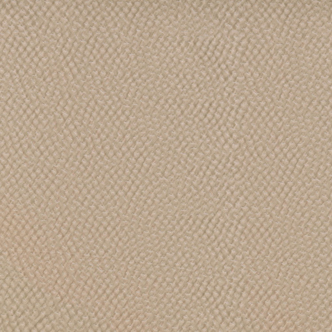 Renee Cameo 409962 by PKL Studio Designer Fabric - 59% Polyester 40% Cotton 1% Lycra INDIA 51000 Horizontal: 9.3 and Vertical: 13.3 55 - Swanky Fabrics -