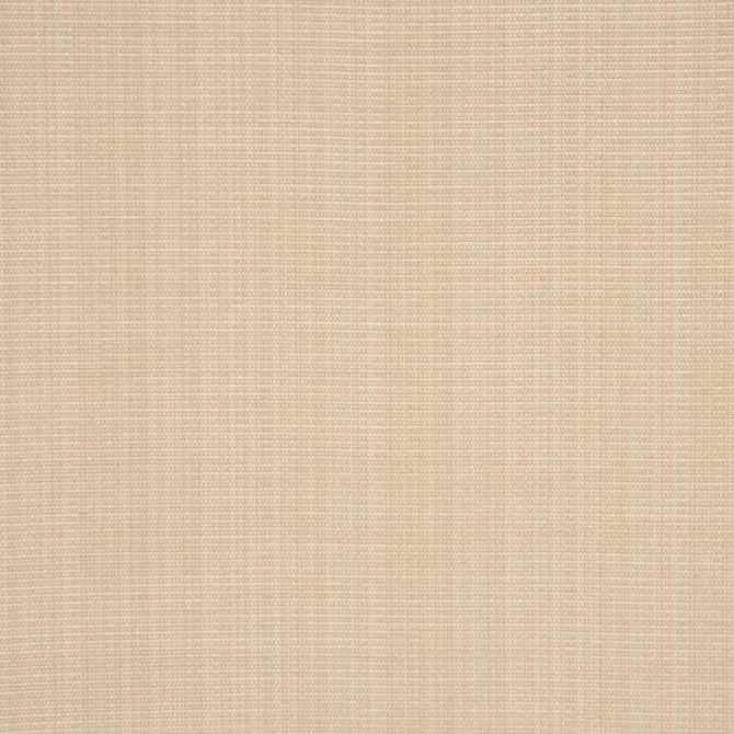 Bradford Sesame by RM CoCo Designer Fabric Stand Up 80% Polyester 20% Cotton See Sample 10000 Horizontal: 0 and Vertical: 0 54 - Swanky Fabrics -