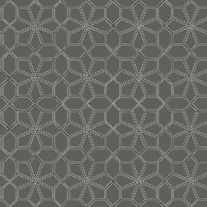 Wolsey Stars Chalk/Charcl by Cole & Son Wallcovering Cole & Son Wallcovering Wolsey Stars Chalk/CharclWallcovering COLE & SON HISTORIC ROYAL PALACES-GREAT MASTERS NON WOVEN - 100% United Kingdom </p><p>Repeat: H: 20.5, V: 20.5 20.5 - Fabric Carolina -