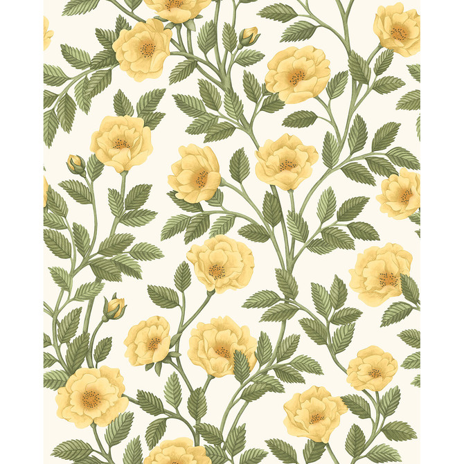Hampton Roses Mrg&Ogrn/Wh by Cole & Son Wallcovering Cole & Son Wallcovering Hampton Roses Mrg&Ogrn/WhWallcovering COLE & SON HISTORIC ROYAL PALACES-GREAT MASTERS NON WOVEN - 100% United Kingdom </p><p>Repeat: H: 20.5, V: 25.2 20.5 - Fabric Carolina -