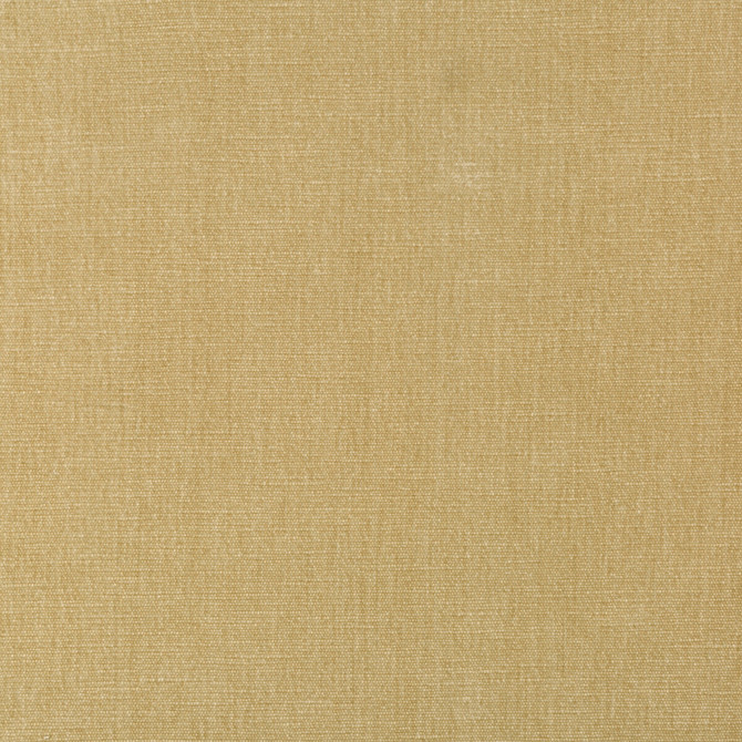 36076-161 by Kravet Smart Designer Fabric PERFORMANCE KRAVETARMOR POLYESTER - 62%;COTTON - 38% India HEAVY Horizontal: 0 and Vertical: 0 54 - Swanky Fabrics -
