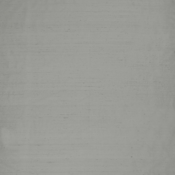 Slyph Aluminium by Clarke And Clarke Designer Fabric WILDERIE BY EMMA J SHIPLEY FOR C&C SILK - 100% India Horizontal: 0 and Vertical: 0 54 - Swanky Fabrics -