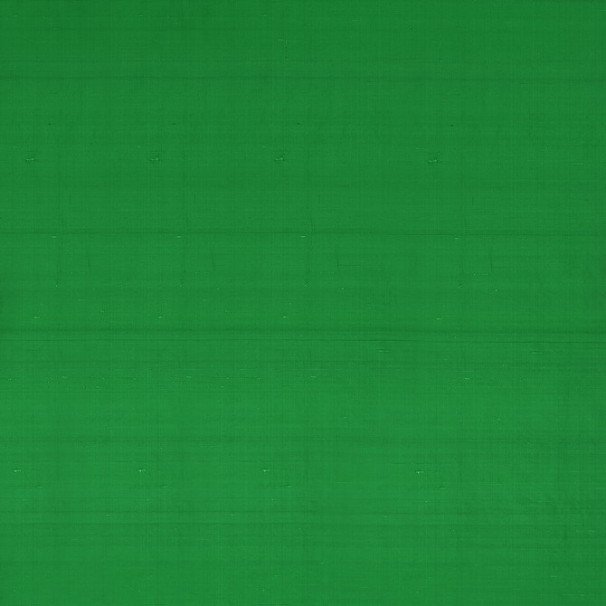 Slyph Fern by Clarke And Clarke Designer Fabric WILDERIE BY EMMA J SHIPLEY FOR C&C SILK - 100% India Horizontal: 0 and Vertical: 0 54 - Swanky Fabrics -