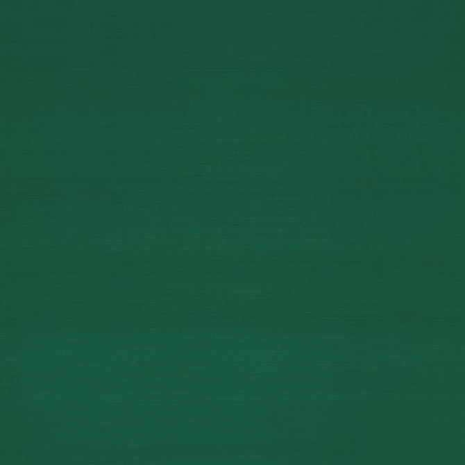 Slyph Money by Clarke And Clarke Designer Fabric WILDERIE BY EMMA J SHIPLEY FOR C&C SILK - 100% India Horizontal: 0 and Vertical: 0 54 - Swanky Fabrics -