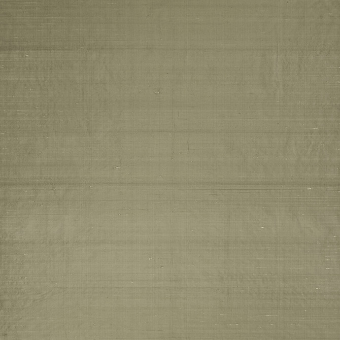 Slyph Tan by Clarke And Clarke Designer Fabric WILDERIE BY EMMA J SHIPLEY FOR C&C SILK - 100% India Horizontal: 0 and Vertical: 0 54 - Swanky Fabrics -