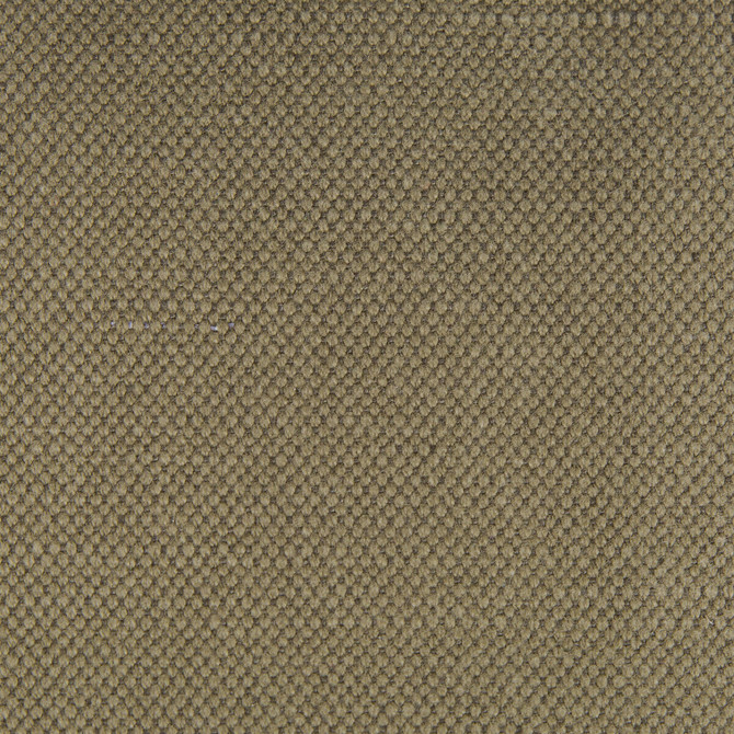 Lima Verde by Gaston Y Daniela Designer Fabric GASTON NUEVO MUNDO COTTON - 65%;LINEN - 35% Spain MEDIUM Horizontal: and Vertical: 110 - Swanky Fabrics -