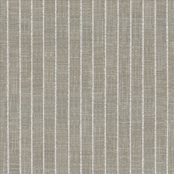 Charismatic Platinum by Kasmir Designer Fabric 1471 73% Polyester
27% Cotton
 INDIA 20,000 Wyzenbeek Double Rubs </p><p>Repeat: Horizontal: 1 inches and Vertical: N/A 54 - Swanky Fabrics -