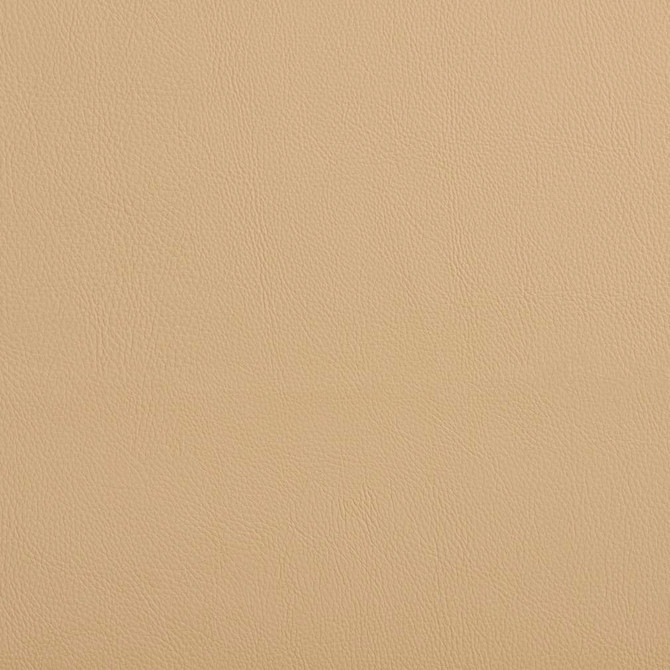 V637 Dune by Charlotte Designer Fabric Ultrahyde Pro Face: Vinyl/Polyurethane, Back: Polyester Microsuede, 29oz. Asia Exceeds 2,000,000 Wyzenbeek Double Rubs (Heavy Duty) </p><p>Repeat: 54 Inches - Swanky Fabrics -