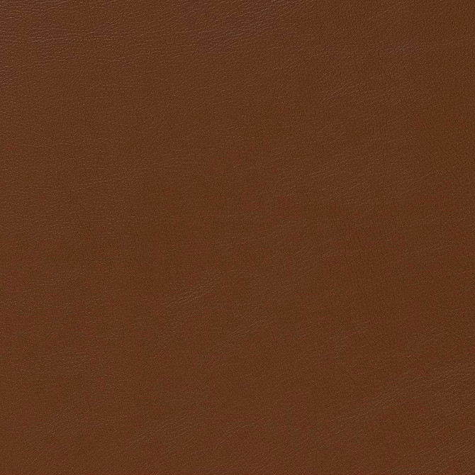 V645 Canyon by Charlotte Designer Fabric Ultrahyde Pro Face: Vinyl/Polyurethane, Back: Polyester Microsuede, 29oz. Asia Exceeds 2,000,000 Wyzenbeek Double Rubs (Heavy Duty) </p><p>Repeat: 54 Inches - Swanky Fabrics -
