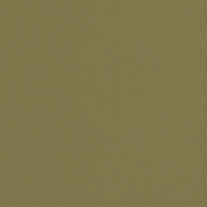 V660 Sage by Charlotte Designer Fabric Defender Face: 100% PVC, Back: Polyester knit backing, 28oz Thailand Exceeds 2,000,000 Wyzenbeek Double Rubs (Heavy Duty) </p><p>Repeat: 54 Inches - Swanky Fabrics -