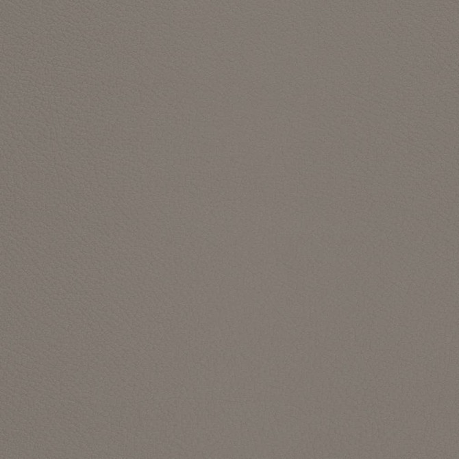 V669 Pewter by Charlotte Designer Fabric Defender Face: 100% PVC, Back: Polyester knit backing, 28oz Thailand Exceeds 2,000,000 Wyzenbeek Double Rubs (Heavy Duty) </p><p>Repeat: 54 Inches - Swanky Fabrics -