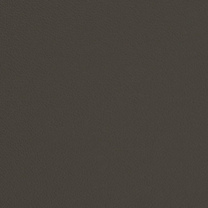 V681 Iron by Charlotte Designer Fabric Defender Face: 100% PVC, Back: Polyester knit backing, 28oz Thailand Exceeds 2,000,000 Wyzenbeek Double Rubs (Heavy Duty) </p><p>Repeat: 54 Inches - Swanky Fabrics -