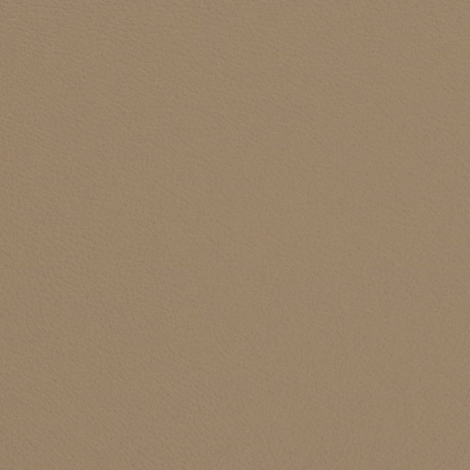 V692 Mushroom by Charlotte Designer Fabric Defender Face: 100% PVC, Back: Polyester knit backing, 28oz Thailand Exceeds 2,000,000 Wyzenbeek Double Rubs (Heavy Duty) </p><p>Repeat: 54 Inches - Swanky Fabrics -