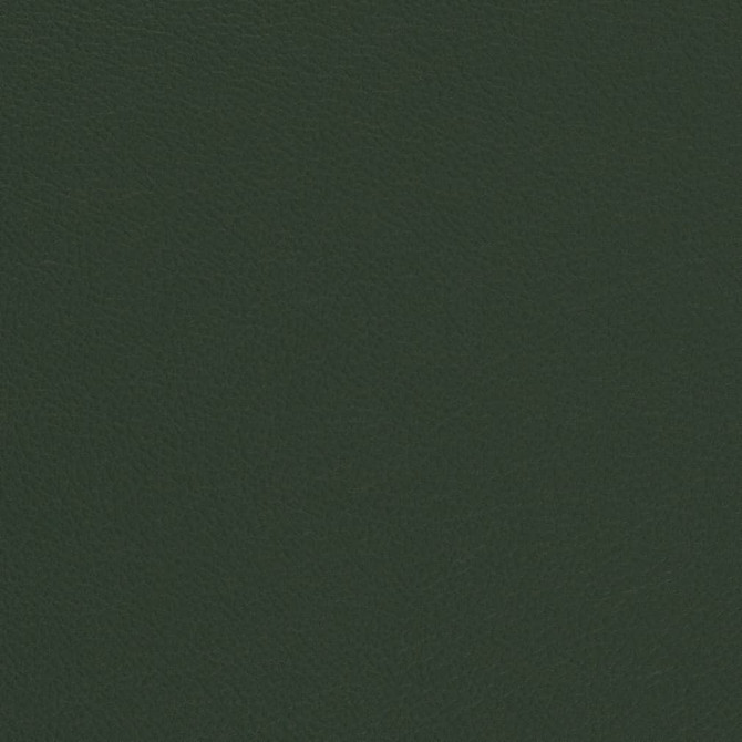 V699 Evergreen by Charlotte Designer Fabric Defender Face: 100% PVC, Back: Polyester knit backing, 28oz Thailand Exceeds 2,000,000 Wyzenbeek Double Rubs (Heavy Duty) </p><p>Repeat: 54 Inches - Swanky Fabrics -