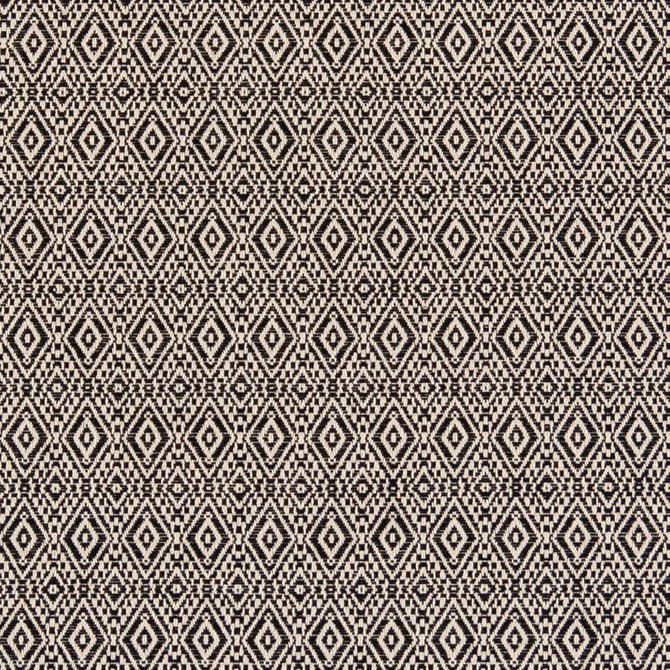 D2412 Noir by Charlotte Designer Fabric Crypton Patterns 70% Cotton, 30% Polyester Made in USA Exceeds 80,000 Wyzenbeek Rubs (Heavy Duty) </p><p>Repeat: Horizontal 1" x Vertical 1" 54 Inches - Swanky Fabrics -
