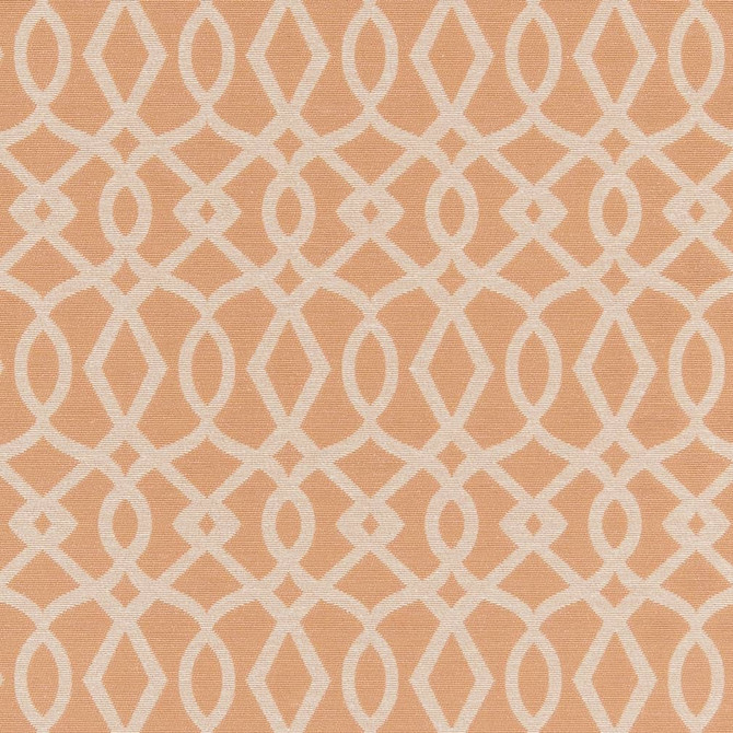 D2442 Peach by Charlotte Designer Fabric Crypton Patterns 51% Polyester, 49% Cotton Made in USA Exceeds 90,000 Wyzenbeek Rubs (Heavy Duty) </p><p>Repeat: Horizontal 4" x Vertical 6.75" 54 Inches - Swanky Fabrics -