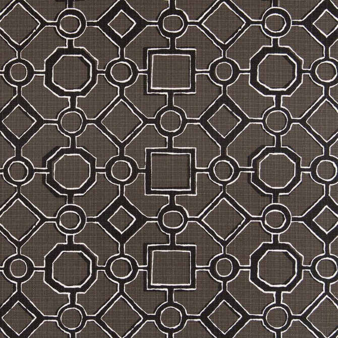 D2499 Raven by Charlotte Designer Fabric Patio Prints 100% Polyester Made in USA Exceeds 60,000 Wyzenbeek Rubs (Heavy Duty) </p><p>Repeat: Horizontal 13" x Vertical 13" 54 Inches - Swanky Fabrics -