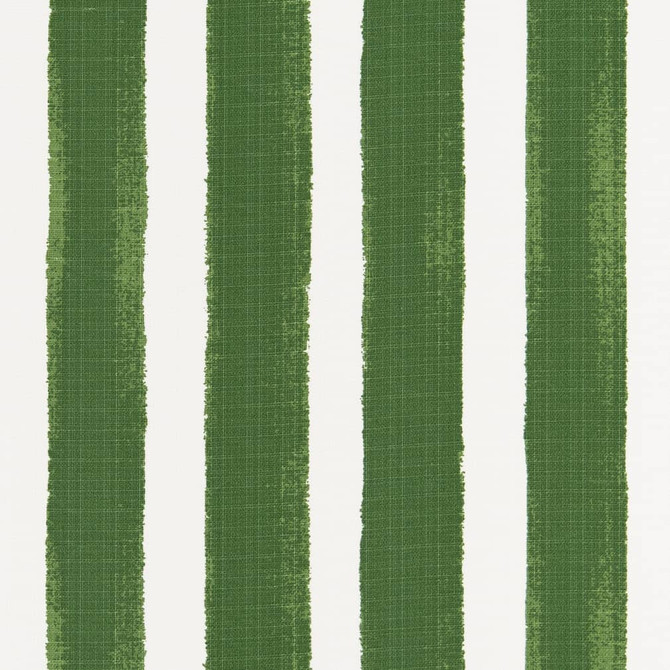 D2510 Green by Charlotte Designer Fabric Patio Prints 100% Polyester Made in USA Exceeds 60,000 Wyzenbeek Rubs (Heavy Duty) </p><p>Repeat: Horizontal 4.5" 54 Inches - Swanky Fabrics -