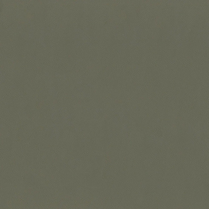 F2870 Mocha by Greenhouse Designer Fabric 100% Vinyl, Backing: 100% Polyester China 1,500,000 </p><p>Repeat: None 54" - Swanky Fabrics -
